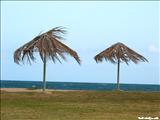 La Guancha - PONCE